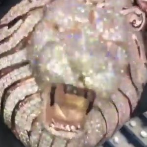 Meet your Posher, Larry